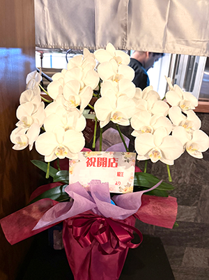 5本立ての胡蝶蘭