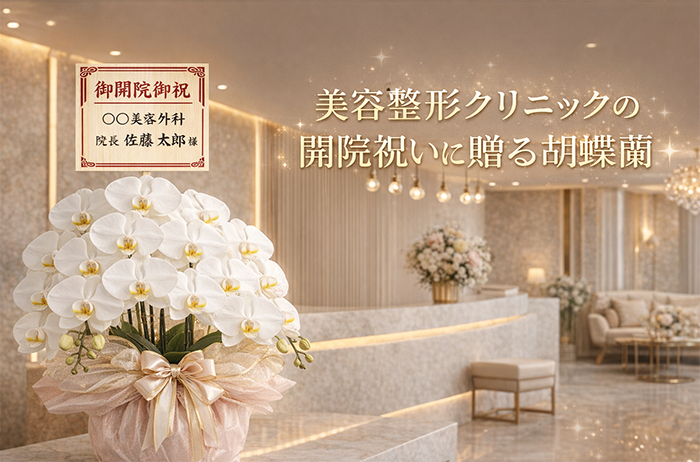 美容整形クリニックの開院祝いに贈る胡蝶蘭