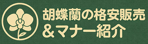 胡蝶蘭の格安販売とマナー